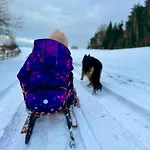 Glamping Niebianska Osada Jurty Dolnoslaskie Lyxtält