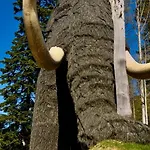 Lyxtält Glamping Niebianska Osada Jurty Dolnoslaskie *