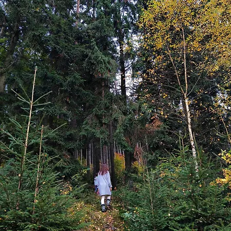 Glamping Niebiańska Osada Jurty Dolnośląskie&spa Luksusowy namiot *