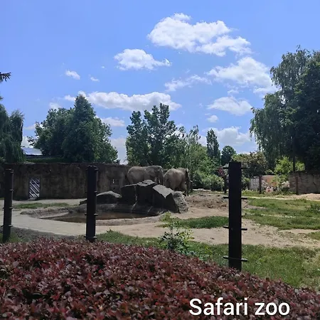 Glamping Niebianska Osada Jurty Dolnoslaskie & * Polanica-Zdroj