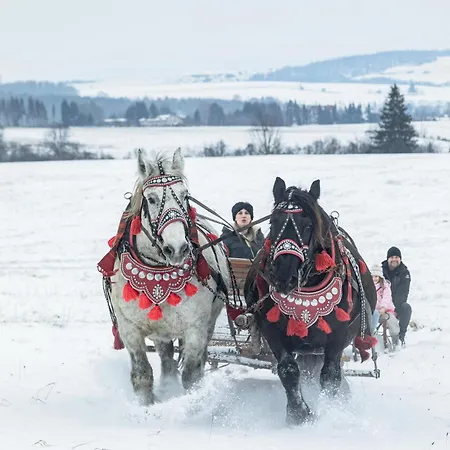 Glamping Niebianska Osada Jurty Dolnoslaskie Luxuszelt Bad Altheide