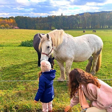 Glamping Niebiańska Osada Jurty Dolnośląskie&spa Luksusowy namiot Polanica-Zdrój