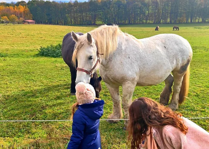Glamping Niebianska Osada Jurty Dolnoslaskie Campismo de Luxo Polanica-Zdrój
