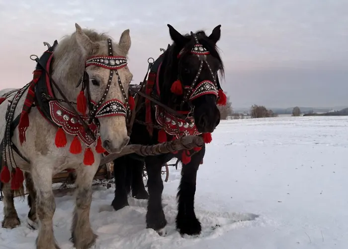 Glamping Niebianska Osada Jurty Dolnoslaskie Campismo de Luxo Polanica-Zdrój